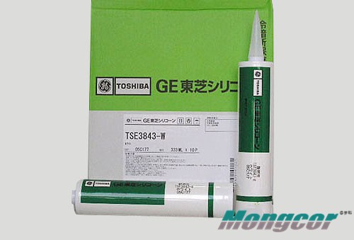 TSE3843