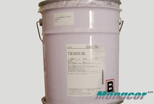 TSE3033