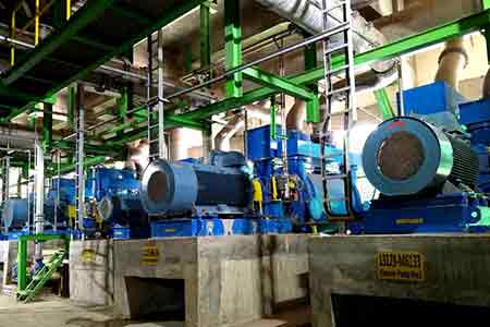 媚娘直播（lái）液環泵機（jī）組在印尼（ní）APP造紙廠使用現場