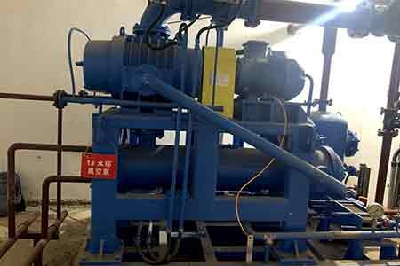 媚娘直播液環泵機組在普寧市生活垃（lā）圾處理廠使（shǐ）用現場